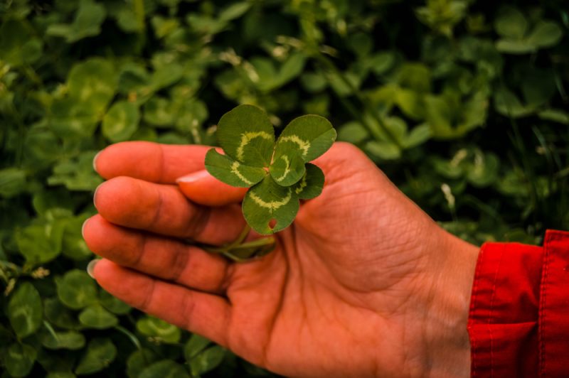 What Does It Mean If You Find a 6 Leaf Clover