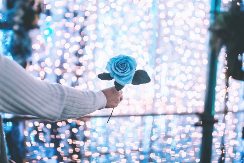 What Do Blue Roses Mean in a Relationship
