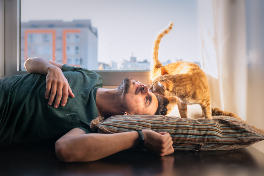 If more narcissists thought about it, they would probably choose cats as pets. Why